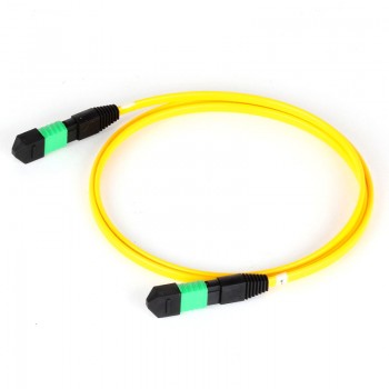 MPO patch cord MPO Cable MPO jumper MPO Datacenter Cabling SM & MM Option
