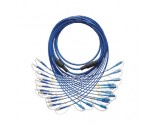 12 Fibers Armored Patch cord
