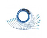 6 Fibers Armored Patch cord